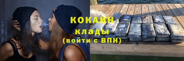 трава Белокуриха