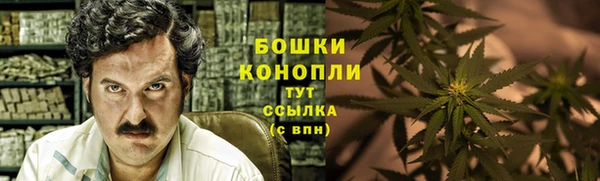 PSILOCYBIN Белоозёрский