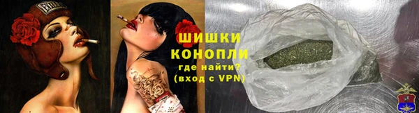 трава Белокуриха