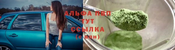 трава Белокуриха