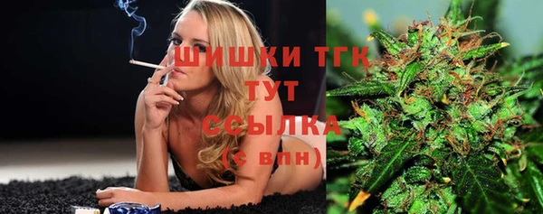 трава Белокуриха