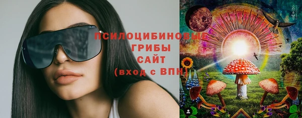 трава Белокуриха