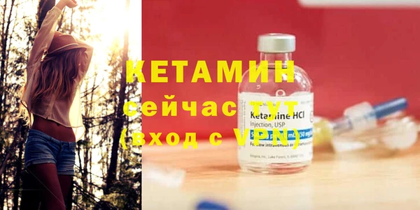 трава Белокуриха
