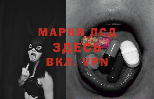 PSILOCYBIN Беломорск