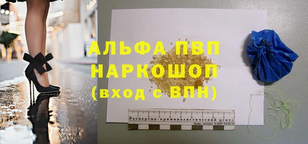 трава Белокуриха