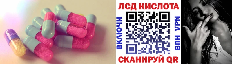 дарк нет как зайти  магазин    KRAKEN ссылки  Новотитаровская  Лсд 25 экстази ecstasy 