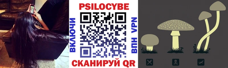 дарнет шоп  Новотитаровская  Галлюциногенные грибы Cubensis 